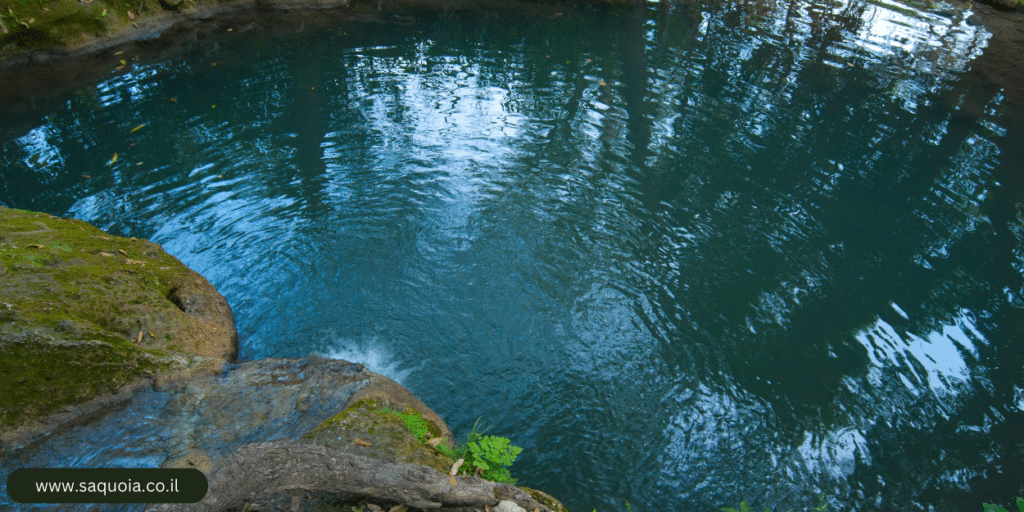 סאקויה בריכות - לבחור בבריכה טבעית