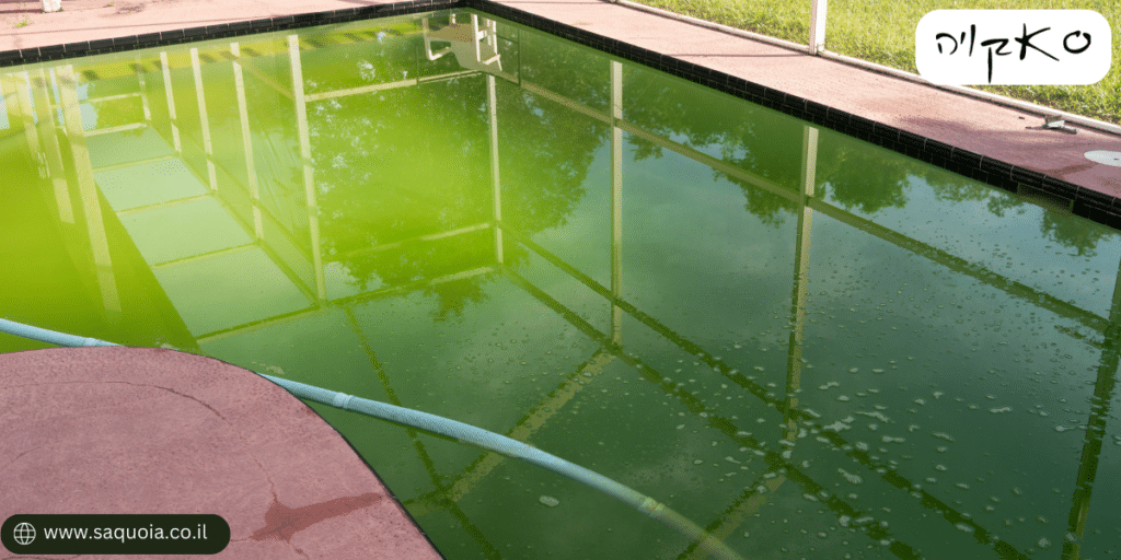 מה הם הגורמים לירוקת בבריכה - סאקויה בריכות
